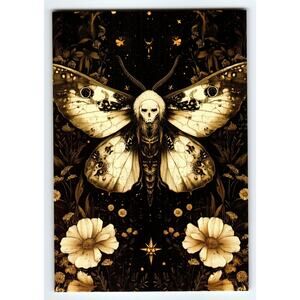 Vintage Halloween Moth with Skull Face Photochrome Postcard 5.5x4"